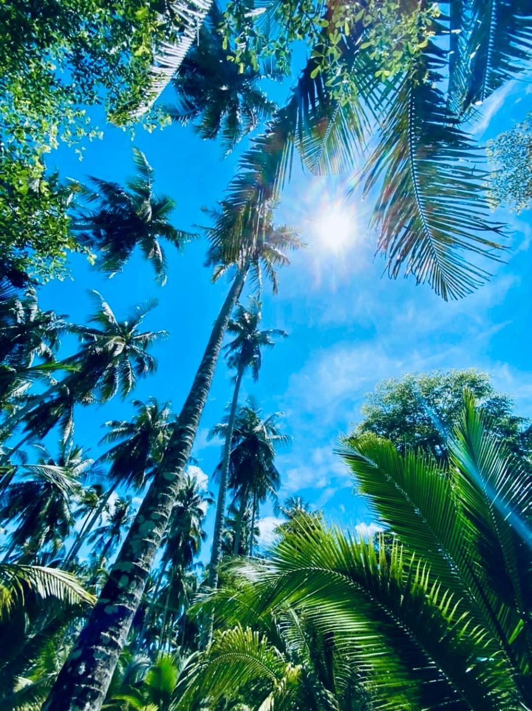 Suan Maprao Ko Kut Resort Exterior foto
