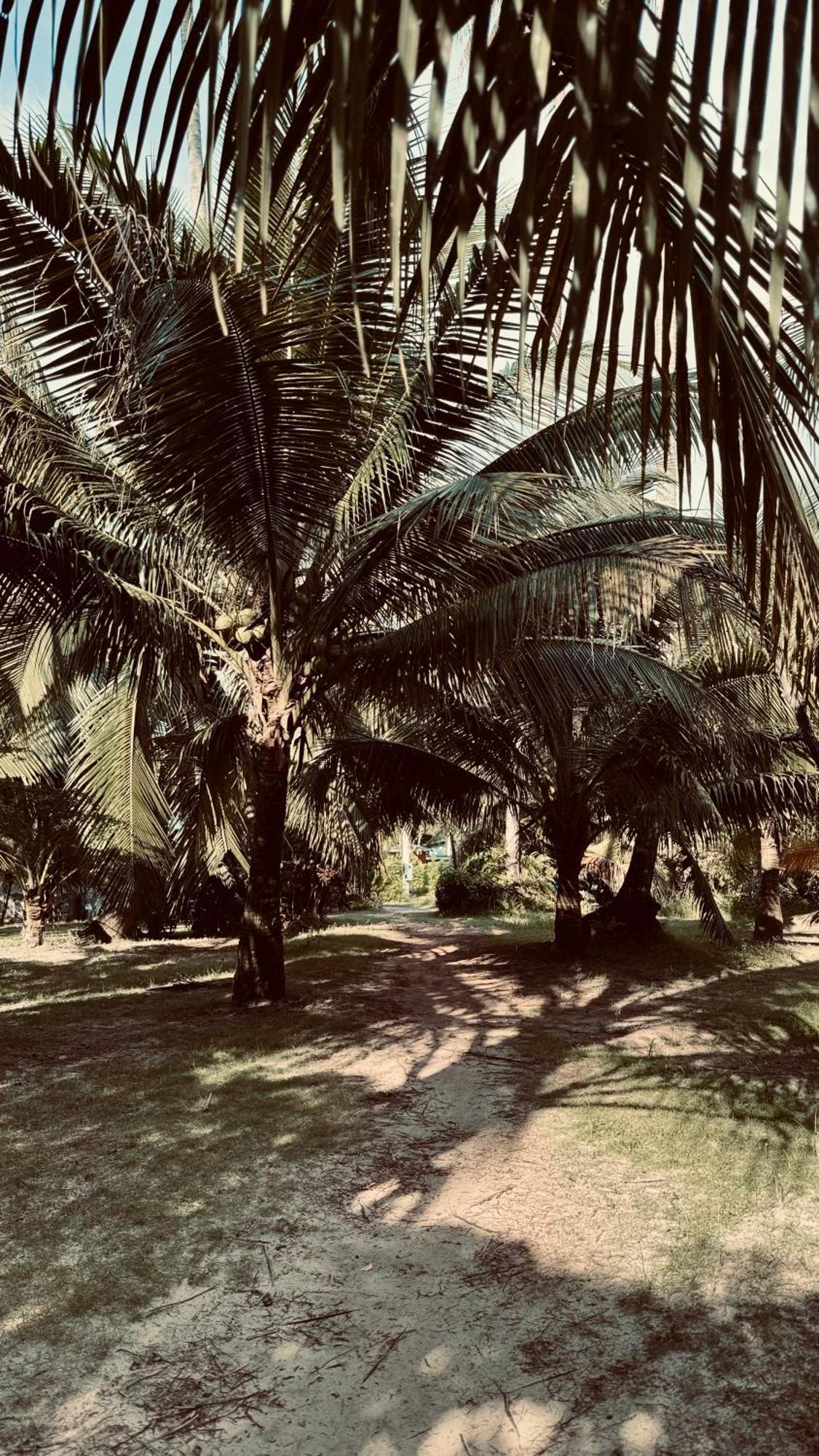 Suan Maprao Ko Kut Resort Exterior foto