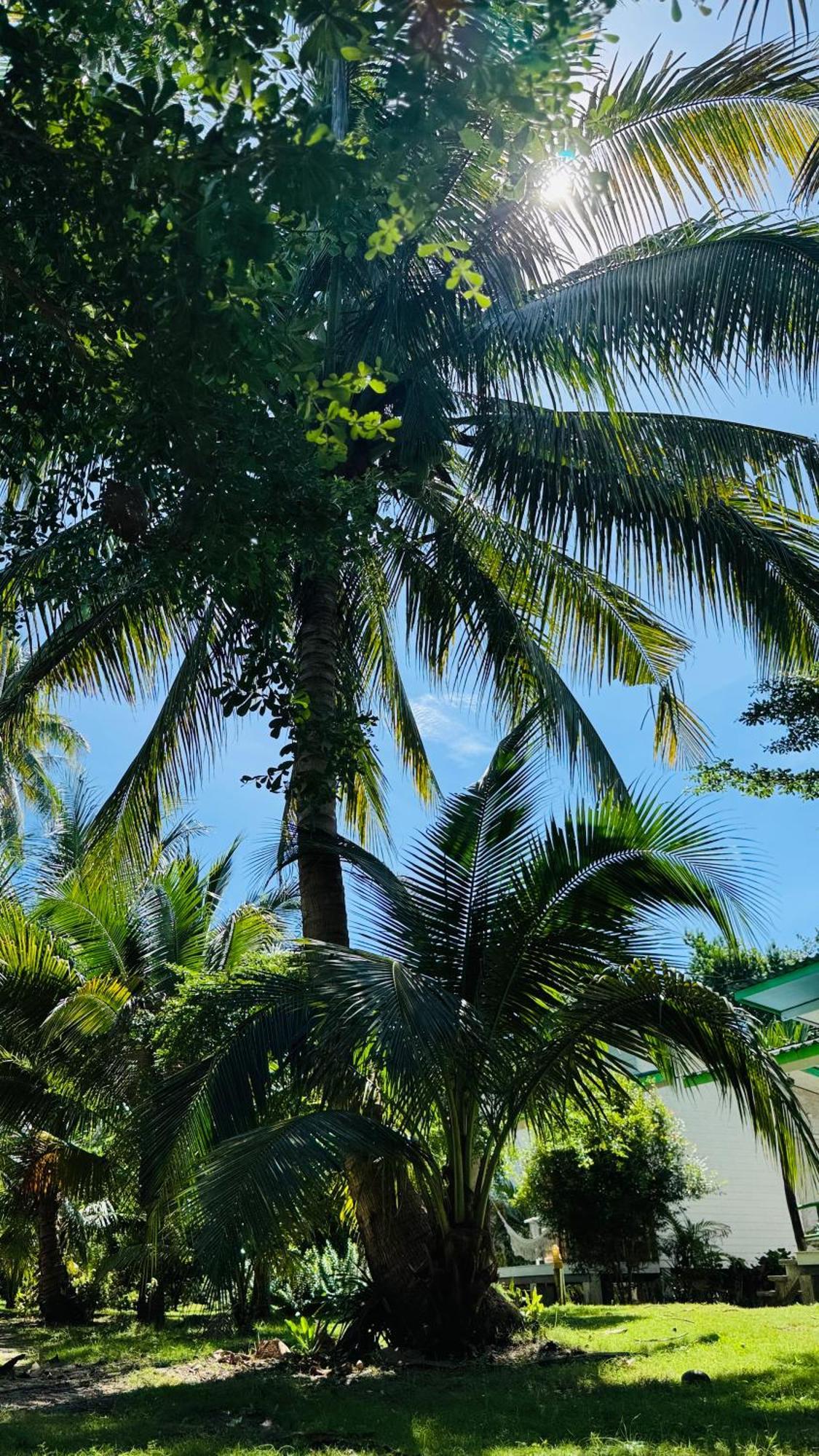 Suan Maprao Ko Kut Resort Exterior foto